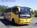 Irizar Century / Volkswagen 18-310OT / Bio Bio