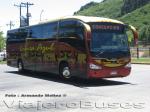 Irizar Century / Mercedes Benz O-500R / Línea Azul