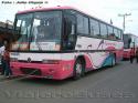 Marcopolo Viaggio GV1000 / Volvo B10M / Pullman Bus Navidad