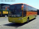 Busscar Vissta Buss LO / Mercedes Benz OH-1628 / Nilahue