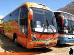 Maxibus Lince / Mercedes Benz OF-1721 / Gama Bus - Servicio Especial