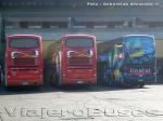 Busscar Panorâmico DD / Volvo B12R - Mercedes Benz O-500RSD / Pullman Los Libertadores - Linatal