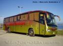 Irizar New Century / Mercedes Benz OH-1628 / Cruz del Sur