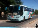 Busscar El Buss 340 / Mercedes Benz OF-1721 / Pullman Contimar