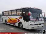 Flota de Buses Pullman del Sur