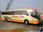 Marcopolo Paradiso G7 1050/ Scania K360 / Pullman Sur