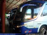 Marcopolo Paradiso 1050 G7 / Mercedes Benz O-500RS / Cruz del Sur - Pullman Sur