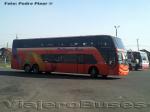 Flota de Buses Pullman Bus - Conquistadores del Sur - Pullman Jota Be