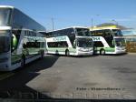 Busscar Panorâmico DD / Scania K420 / Tacoha