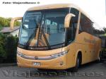 Marcopolo Paradiso 1200 G7 / Mercedes Benz O-500RSD / Tepual