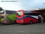 Marcopolo Paradiso 1800DD - Irizar Century  / Mercedes Benz O-500RSD & O-400RSE / Cruzmar