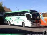 Unidades Mascarello Roma 370 / Mercedes Benz O-500RSD &  Volvo B430R / Nilahue