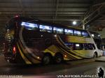 Unidades Doble Piso Pullman Bus