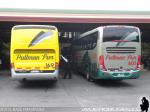 Marcopolo Viaggio 1050 - Paradiso G7 1050 / Volvo B9R & Mercedes Benz O-500RS / Pullman Sur