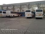 Flota de Buses Pullman del Sur