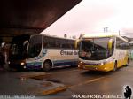 Unidades Marcopolo Viaggio 1050 - G7 1050 / Mercedes Benz O-400RSE & O-500RS / Cruz del Sur - Queilen Bus