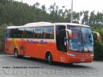 Busscar Vissta Buss LO / Mercedes Benz O-500R / Pullman Bus