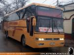 Busscar Jum Buss 380 / Volvo B12 / Tepual