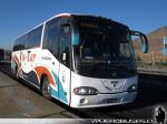 Irizar Century / Scania K124IB / Via-Tur