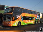 Modasa Zeus II / Mercedes Benz O-500RSD / Bus Norte