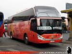 Zhong Tong Navigator LCK6137H / Pullman del Sur