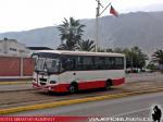 Ashok Leyland Eagle 814 / Urbano de Iquique