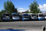 Buses Puma / San Felipe - V Región
