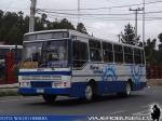 Ciferal Carnaval / Mercedes Benz OF-1115 / Litoral Central