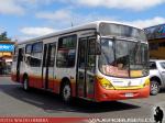 Marcopolo Gran Viale / Mercedes Benz OH-1115LSB / Linea 45 - Osorno