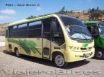 Maxibus Astor / Mercedes Benz LO-914 / Litapel