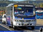 Maxibus Astor / Mercedes Benz LO-914 / Expresos Chiguayante