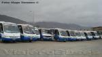 Flota Linea 109 Trans Antofagasta