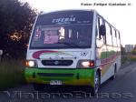 Ciferal Agilis / Mercedes Benz LO-814 / Linea 5 - Temuco