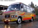 Inrecar / Mercedes Benz LO-814 / Linea 102