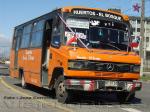 Carrocerias LR / Mercedes Benz LO-809 / Huertos - El Bosque