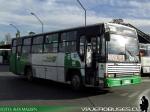 Caio Vitoria / Mercedes Benz OF-1115 / Buses Coinco
