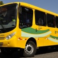 Seis modelos fueron adquiridos por Transbrasiliana