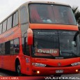 Fueron los pasajeros de un bus interurbano que se dirigía a La Serena, […]