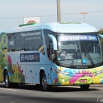 Bus Seleccion Brasil - Imagen: Onibus Brasil