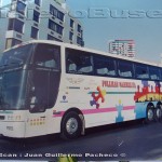 carmelita400p55